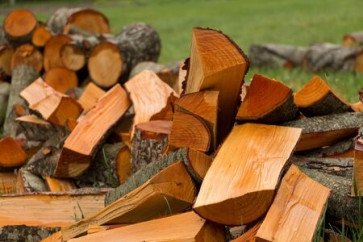 Дрова абрикос колотые(30-33см) Цена за складометр