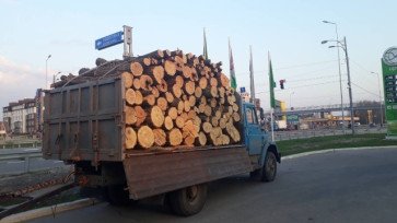 Дрова метровка смесь твердых пород (1м): дуб, граб, ясень, акация . Цена за складометр