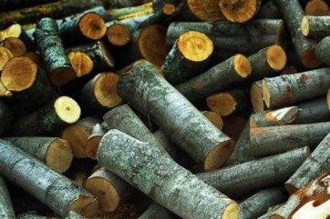 Дрова метровка ТОНКОМЕР твердые породы: Дуб, Граб, Ясень, Акация Опт от 50 складометров
