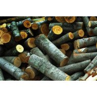 Дрова метровка ТОНКОМЕР твердые породы: Дуб, Граб, Ясень, Акация Опт от 50 складометров